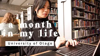 computer science and entrepreneurship student at University of Otago | a month in my life 👩‍💻🎬👩‍🎓