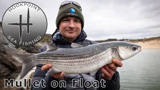 How to Catch Big Mullet on the Float - A Complete Guide to Float Fishing for Thick Lipped Mullet