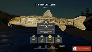 Russian Fishing 4 - Tunguska River - Trophy Siberian Char Loach - From ACTIVE SPOT