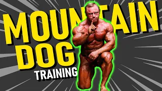 What is "Mountain Dog Training" and WHY IT WORKS