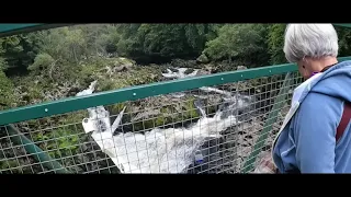 Falls of Feugh, Banchory 9 September 2021