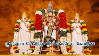 Govinda Namalu - Srinivasa Govinda Sri Venkatesa Govinda ஸ்ரீனிவாசா கோவிந்தா ஸ்ரீ வெங்கடேசா கோவிந்தா