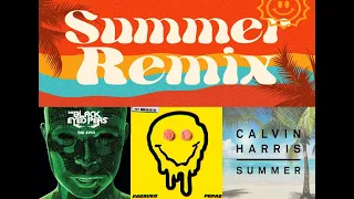 Summer Remix (I Got A Feeling, Pepas, Summer)