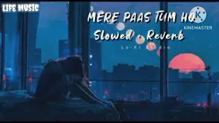 Mere paas tum ho [slowed+reverb].    Life Music Toheed khan  #Lofi Rahat Fateh Ali Khan