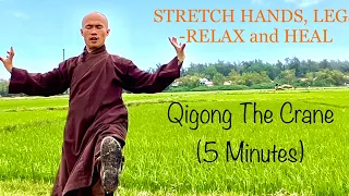 Stretch HANDS, LEGS to RELAX and HEAL | Qigong The Crane ( 5 Minutes)