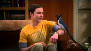 The Big Bang Theory- Come back Lovey Dovey S5x9