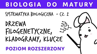 Systematyka biologiczna 2 - Drzewa filogenetyczne, kladogramy, klucze; zadania maturalne - biologia