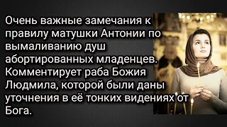 Замечания к правилу матушки Антонии по вымаливанию душ абортированных младенцев. Свидетельство.