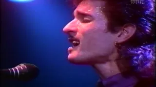 Willy DeVille Mink DeVille ~ Full Concert Live 1981@ Rockpalast in Essen, Germany