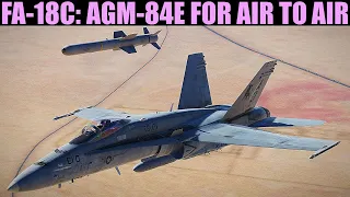 FA-18C Hornet: AGM-84E SLAM For Air To Air Tutorial | DCS WORLD