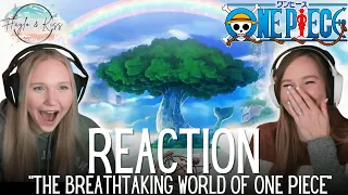 The Breathtaking World Of | ONE PIECE | Reaction 💕