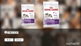 Обзор корма Royal Canin Giant Starter