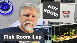 NOT a *HAPPY* Update ["LAP" of the Fish Room - Every Tank & Every Fish!] *FULL DISCLOSURE!*