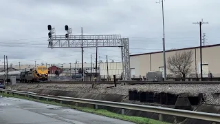 Amtrak 66 leaving Roanoke with loco 203 3/9/24