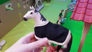 Schleich (Шляйх): обзор конного клуба Комета