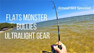 Shimano Stella Almost Gets Spooled By A Giant On The Flats...