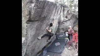 Bengal Spice V7 - Nelson, West Kootenay