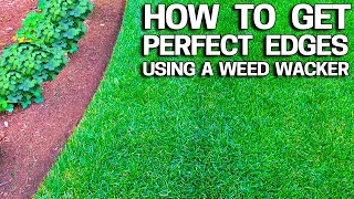 How to Get Perfect Lawn Edges with a Weed Wacker