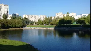 Зеленоград Михайловский пруд