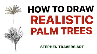 How to Draw Realistic Palm Trees