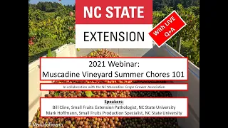 Muscadine Vineyard Summer Chores 101 - Webinar