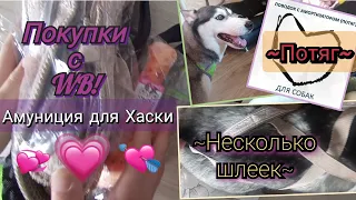 Закупились на Wildberries!🐶 Распаковка товаров для Хаски Джульетты || Кое-что для Ездового спорта🏃🚲