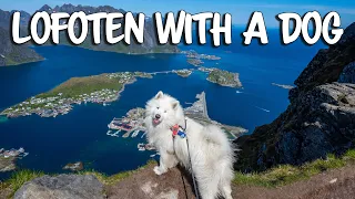 Showing our dog the most beautiful place in Norway