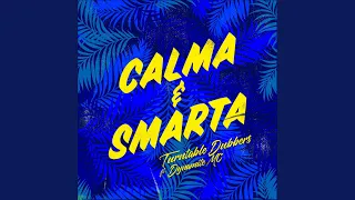 Calma & Smarta (Subtropics Remix) (feat. Dynamite MC)