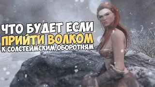 Что Будет Если Волком Прийти к Солстеймским Оборотням? Skyrim 1440p