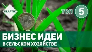 ТОП-5 Бизнес идеи в сельском хозяйстве