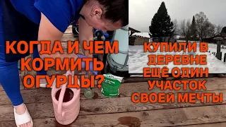 Капельная лента в деле. Формирование огурца в один ствол. Обход территории и  строительные планы