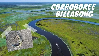 Corroboree Billabong - MASSIVE CROCS, birds, and Monika's first NT fish!