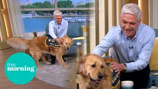 Dog 'Too Friendly' To Be Guide Dog Wins Phillip's Heart | This Morning