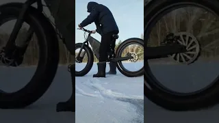 2x2 electric fatbike