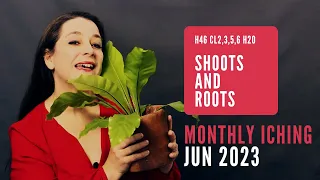 Shoots and Roots // Monthly I Ching Jun 2023 // Hexagram 46 & 20