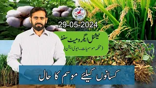 Farmer's Weather Forecast | 29-05-2024