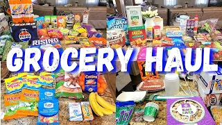 ✨NEW✨ MASSIVE Grocery Haul | Aldi, Walmart, Dollar General, & Dollar Tree