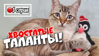 «Минута славы» 🌟Самые смешные и талантливые животные | 1-я серия