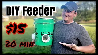 DIY automatic Chicken Feeder ($15.00, 20 min to a HYGENIC efficient way to feed birds up to 5 days)