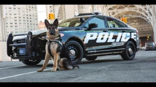 2018 Ford Police Responder Hybrid