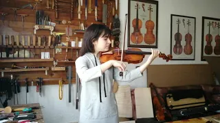 Violin copy of Guarneri del Gesu 1743 - Paganini model