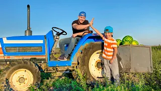 Damian and Darius ride on Tractors and watermelon farm kids stories