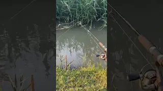 рыбалка это настоящий отдых 😄