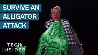 How To Survive An Alligator Attack