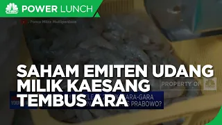 Saham Emiten Udang Milik Kaesang, PMMP Tembus ARA!