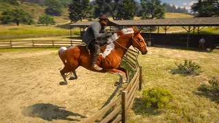 RDR 2 | KENTUCKY SADDLER HORSE | BEST HORSE TAMER | JOHN MARSTON