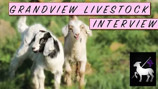 Raising Meat Goats and Sheep Together | Grandview Livestock Interview