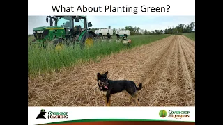 [Podcast] Tips for Planting into Green Cover Crops Successfully