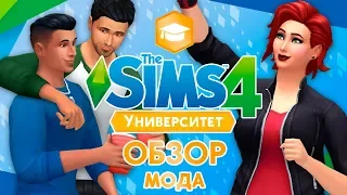 The Sims 4 : Университет - Обзор функционального мода