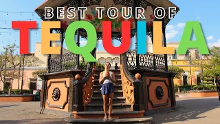GUADALAJARA TEQUILA TOUR IN MEXICO (Jose Cuervo, Is It Worth Going?)